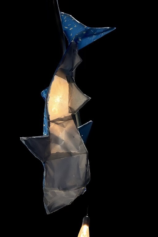 Whale Shark - Detail